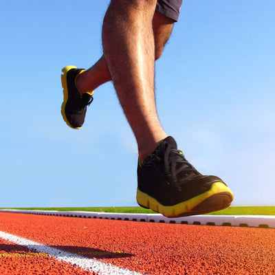 Amino Acids: Everything You Need to Know