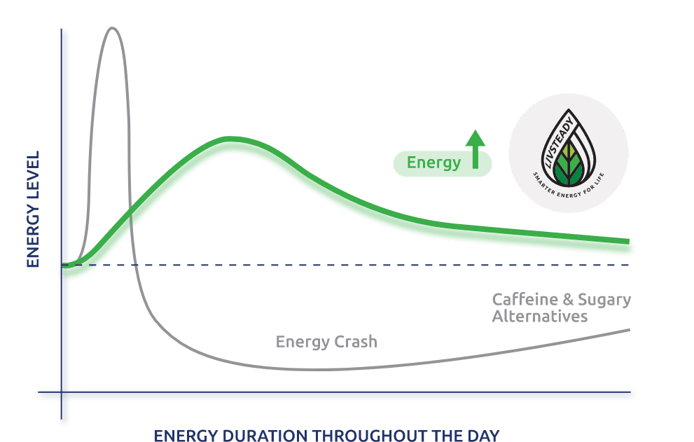 Edge Energy Gel Intro Sample Pack